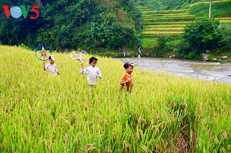 Рисовые террасы в уезде Мукангчай – красоты горного края - ảnh 3